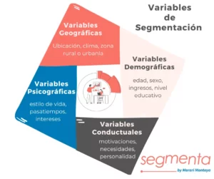 segmente su negocio para aumentar las ganancias consejos para lograr una segmentacion precisa del mercado