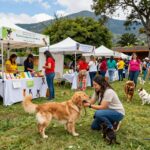 Servicios de Cuidado de mascotas via Rover en Guatemala